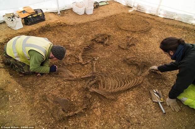 Британцы нашли редчайшее древнее захоронение археология, древние захоронения, история, находка