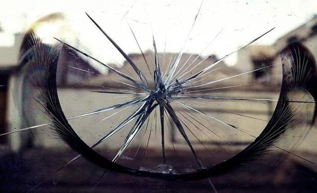 Если черный кот дорогу перейдет: современные суеверия, в которые нам очень нравится верить