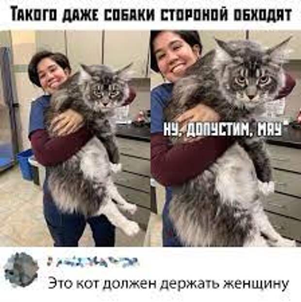 Фотоприколы с надписями