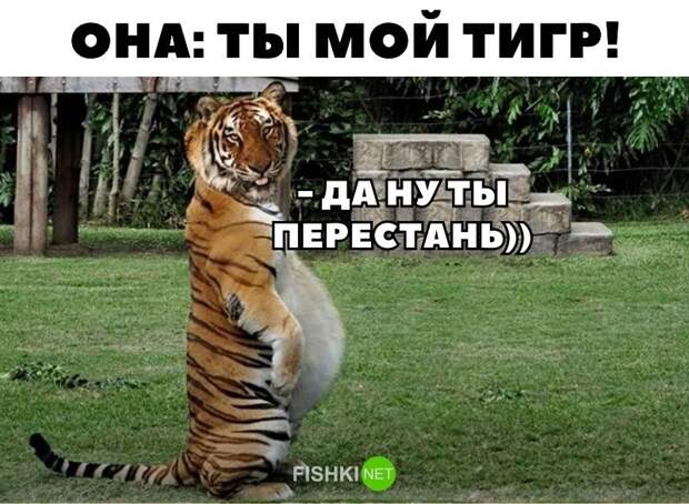 1_3 1_3