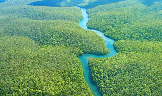 Интересные факты о Бразилии, Амазонка