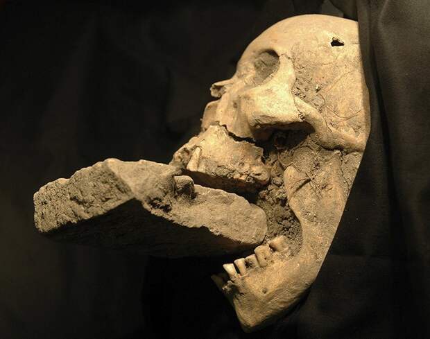 ArchaeoDiscoveries02 25 самых удивительных в истории археологических находок