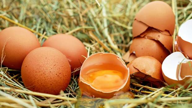 Названа неожиданная польза регулярного употребления куриных яиц