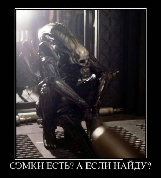 Демотиваторы (30 фото)