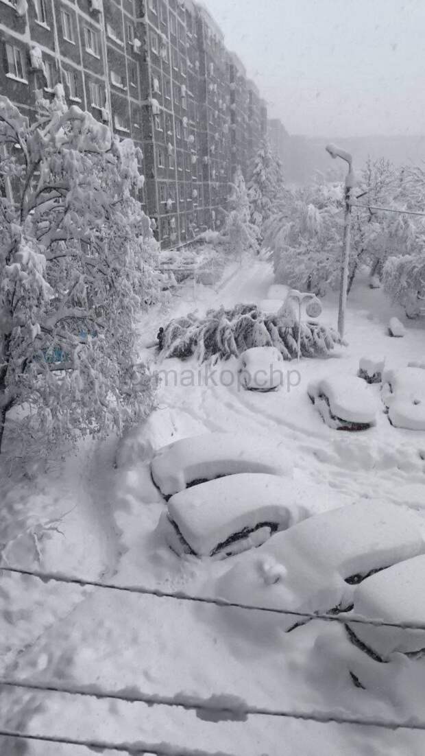 Снег парализовал Адыгею: транспорт не ходит, дороги замело, падают навесы, света нет