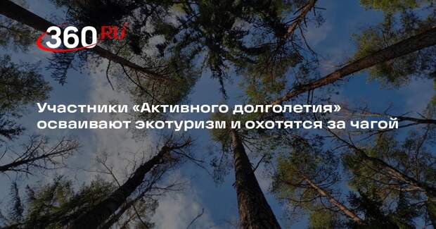 Пенсионеры исследуют лесные тропы в рамках проекта «Активное долголетие
