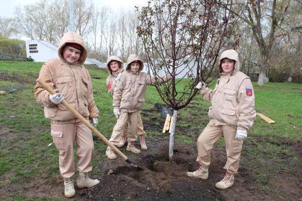 Пермские школьники и волонтеры высадили 25 яблонь в «Саду памяти»
