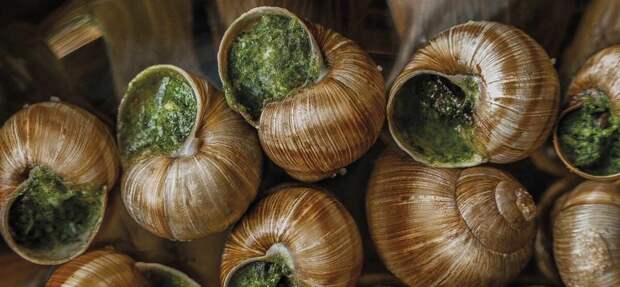 С 1 по 11 мая – карнавал улиток в гранд-кафе «Шануар»