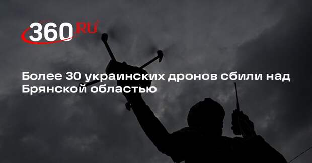Более 30 украинских дронов сбили над Брянской областью