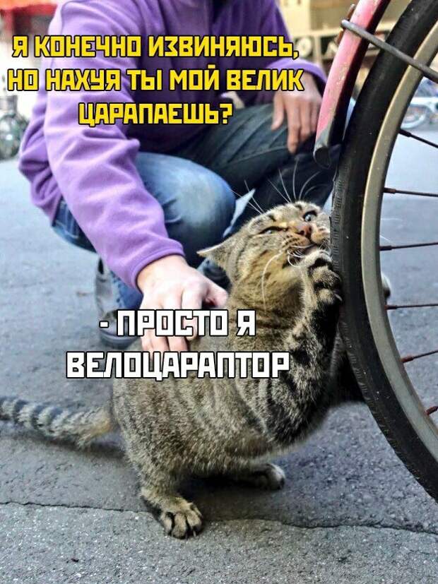 Домашний динозавр Домашний динозавр