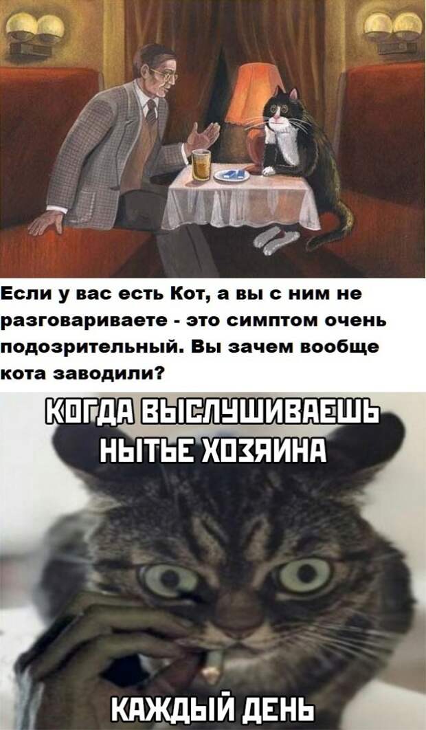 www.vsyako.net