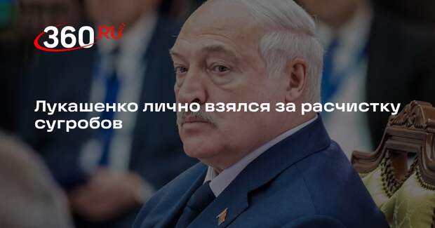 Лукашенко лично взялся за расчистку сугробов