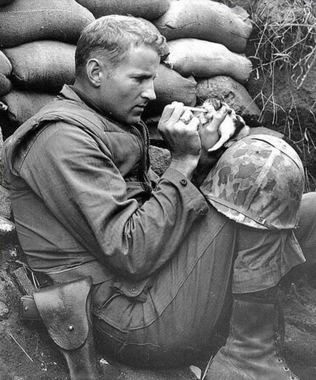 Американский солдат кормит молоком еще слепого котенка. Война в Корее подборка фото, хорошие фото, эмоции