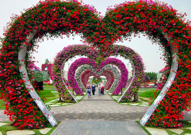 dubai-garden