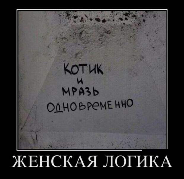 Демотиваторы (30 фото)