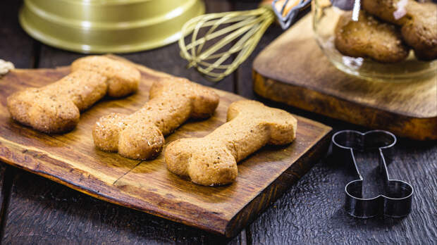 Лакомства для собак, которые легко приготовить дома: пять рецептов