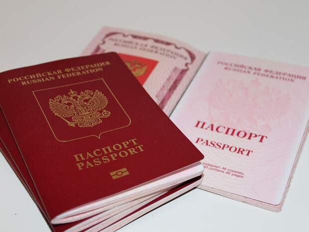 В МИД предложили не выдавать загранпаспорта гражданам, получившим повестки