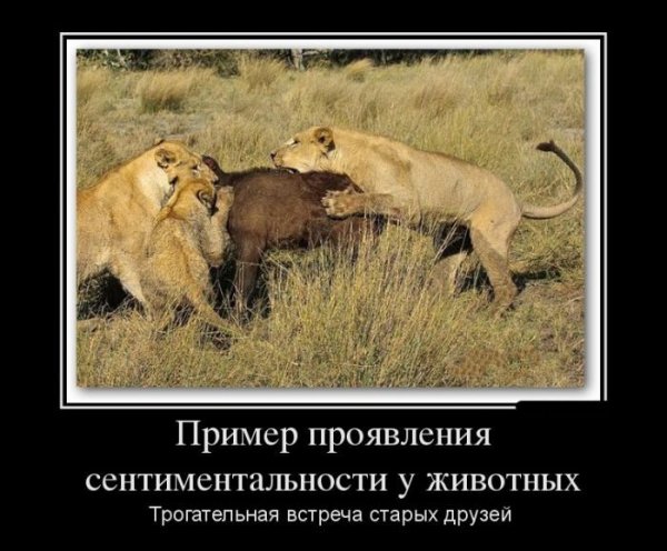 Обо всём.