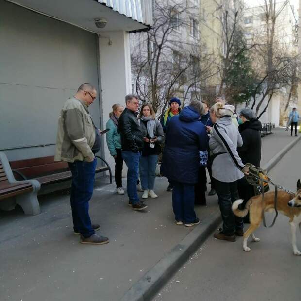 Возможно, это изображение (3 человека, люди стоят, собака и на открытом воздухе)