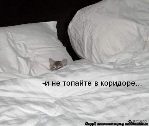 Лучшие котоматрицы недели (50 фото) Лучшие котоматрицы недели (50 фото)