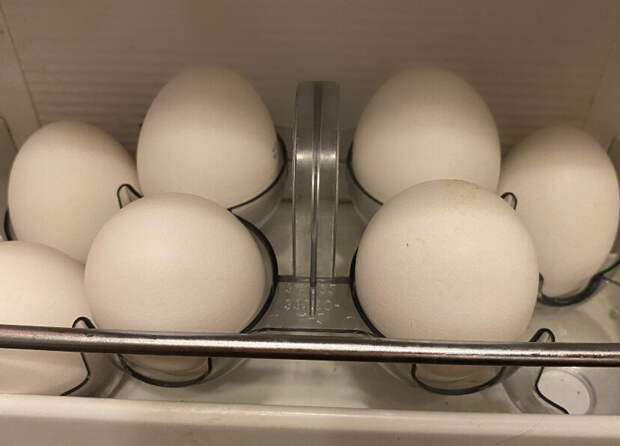 Дорогие яйца в нашем холодильнике