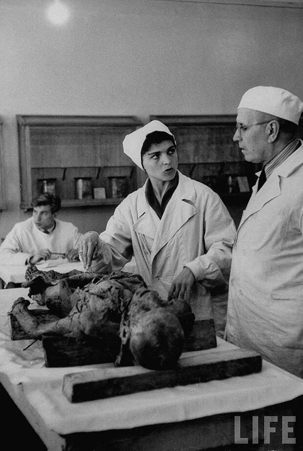 ByLarsen26 Москвички в 1956 году
