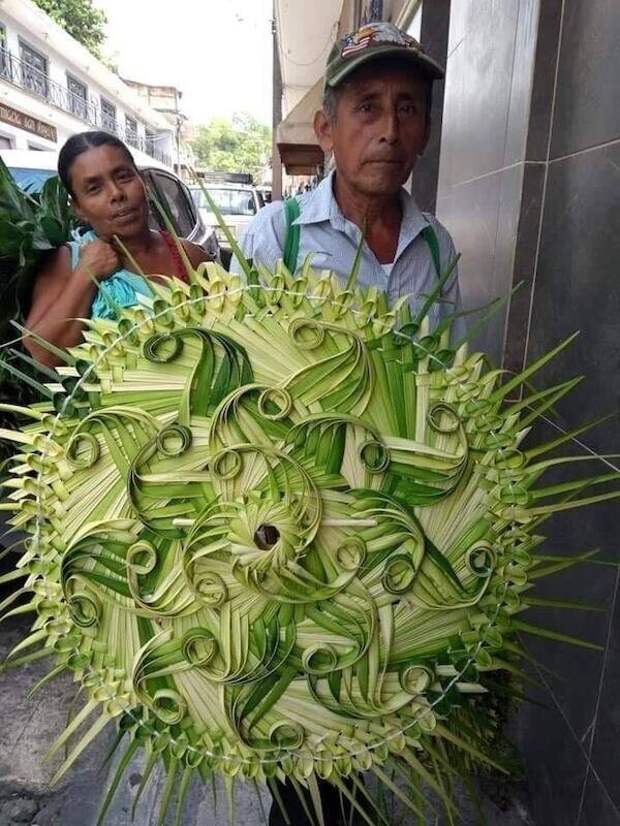 Растительное Растительное