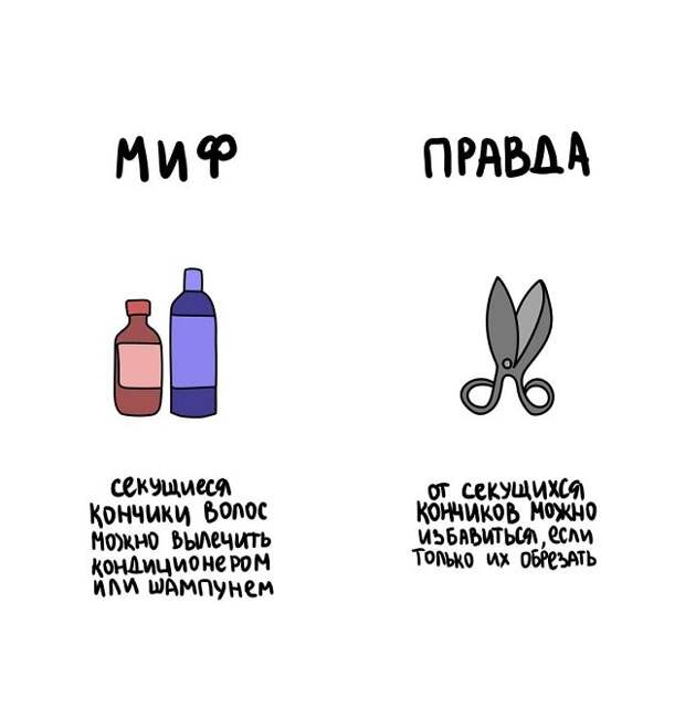 Забавные подсказки о вещах и понятиях, которые люди часто путают