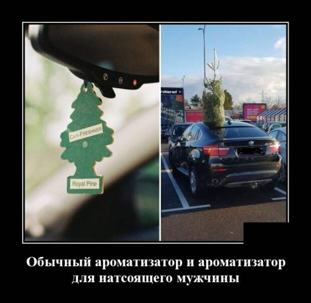 Свежие и прикольные демотиваторы для вечернего настроения