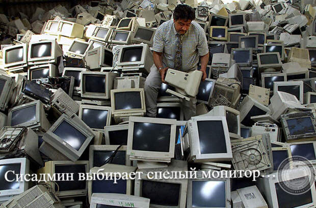 Сисадмин выбирает спелый монитор…