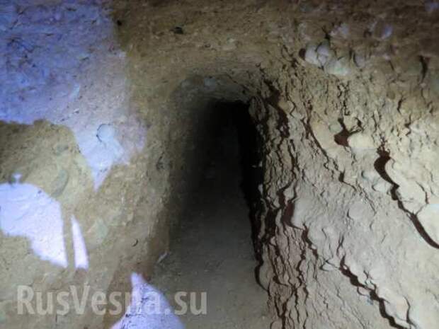 В поисках крыс: Военные России и Сирии нашли многокилометровые подземные ходы боевиков в Дамаске (+ФОТО) | Русская весна