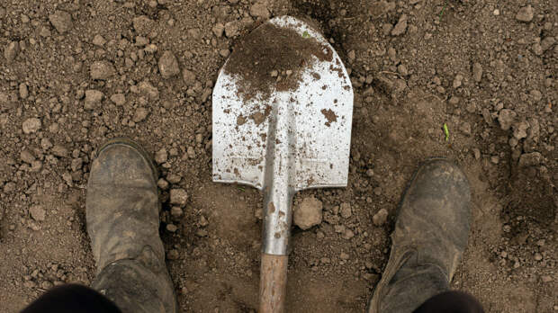 Мужчина выкопал останки сестры и принес их в банк из-за 15 тысяч рублей