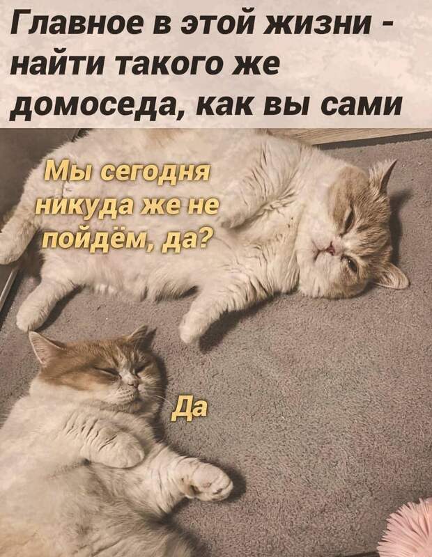 Планы на воскресенье