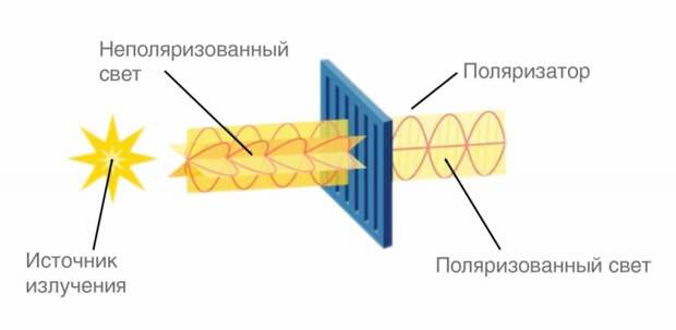 Мы — внеземного происхождения?