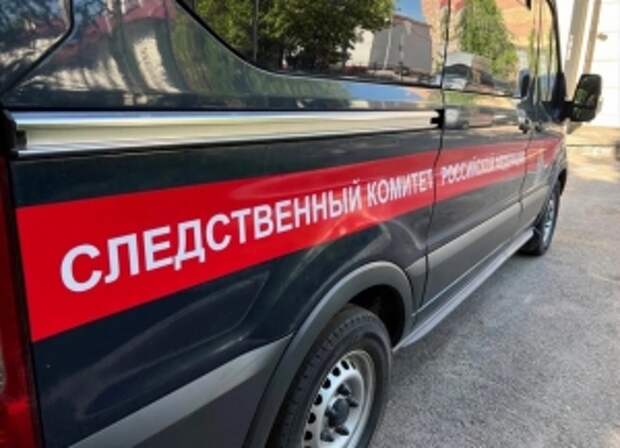 Глава ведомства запросил доклад о ходе расследования уголовного дела по факту нападения безнадзорных собак на женщину с ребенком в Пензенской области