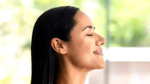 Очистители воздуха улучшают работу мозга