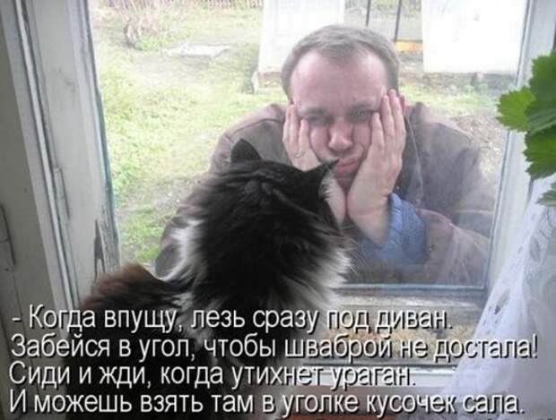 c150937266209ec99a793faba89_prev