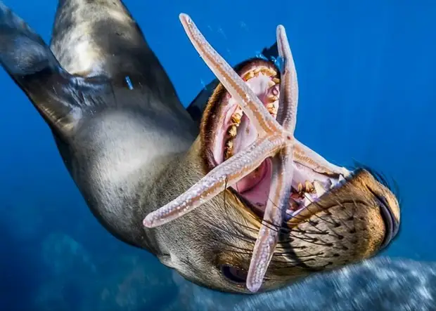 14 фото National Geographic, которые подтверждают уникальность нашего мира