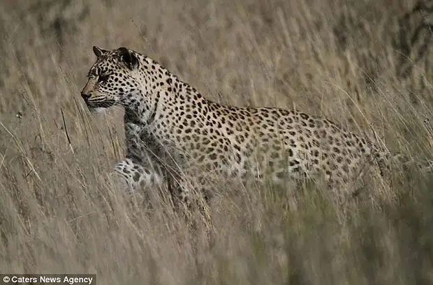 :     6 - BigPicture.ru