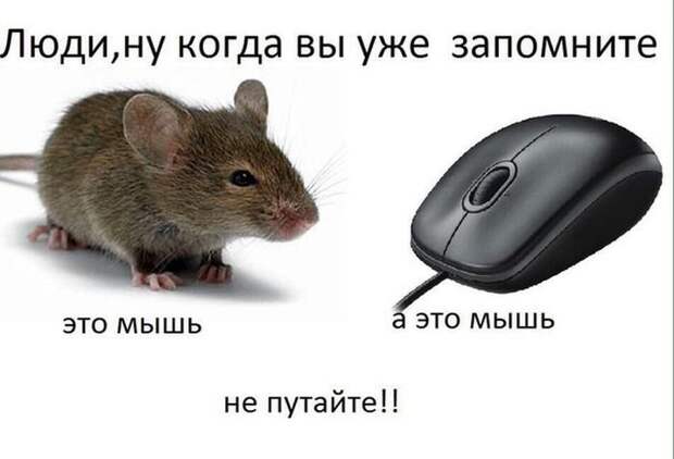 Прикольные картинки (15.12.16)