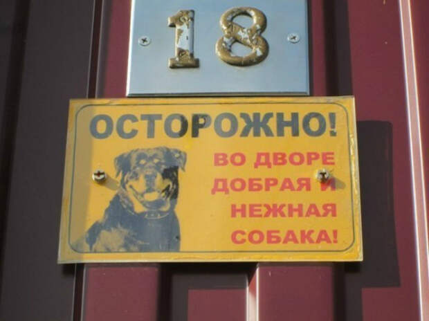 Песик с нежной душой. Песик с нежной душой.