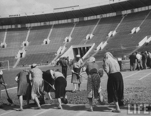 ByLarsen35 Москвички в 1956 году