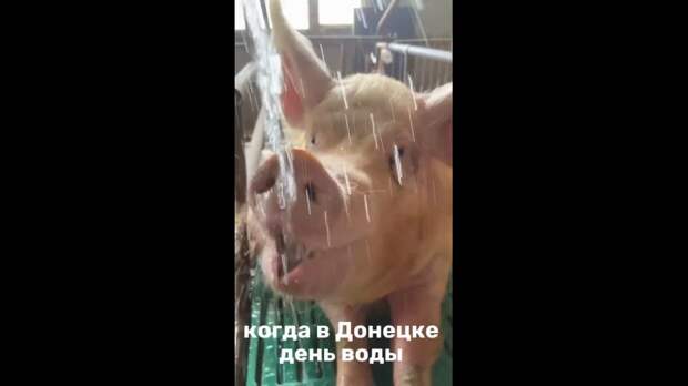 Video: Клип @donetskdnr_vk