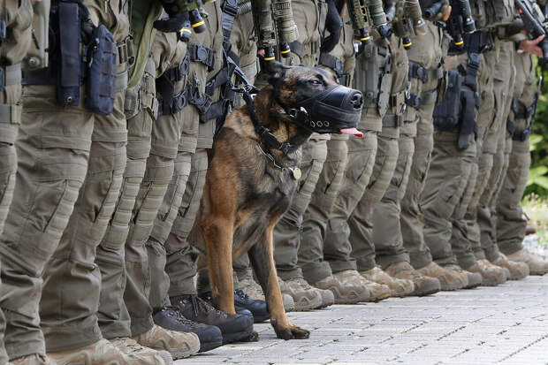 В США 49-летняя женщина с черепно-мозговой травмой выжила после падения в овраг