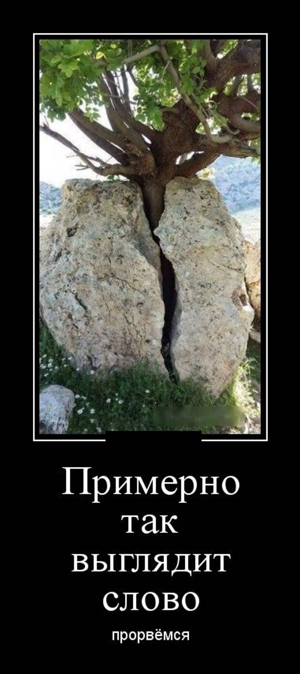 www.vsyako.net