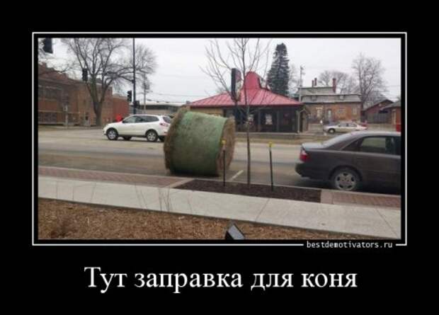 Прикольные демотиваторы на Бугаге (15 шт)