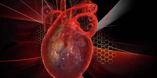 Сердце не болит, а сигналит: какие признаки предупреждают об остановке сердца за год до трагедии