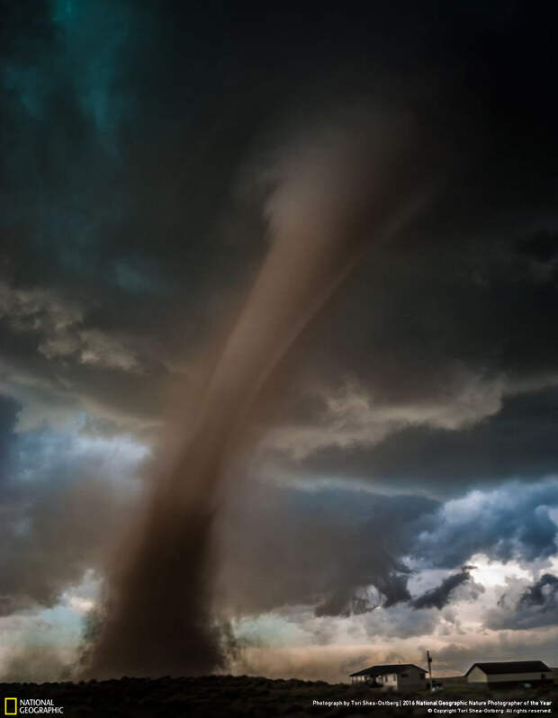 2016-national-geographic-nature-photographer-of-the-year-winners-2-584fb78893f21__880