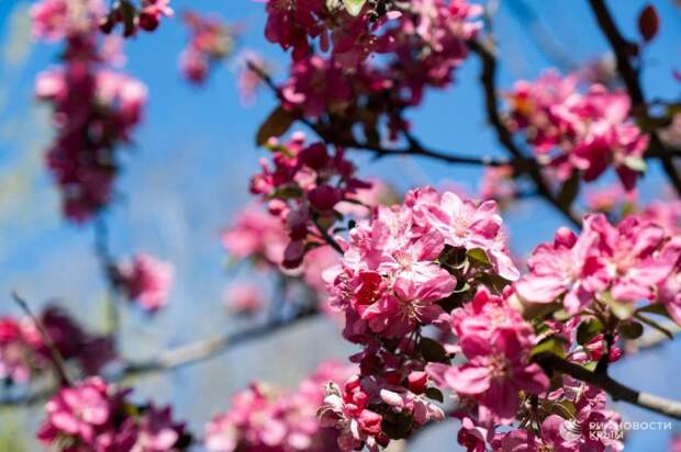 Прогноз погоды в Крыму на вторник