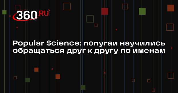 Popular Science: попугаи научились обращаться друг к другу по именам